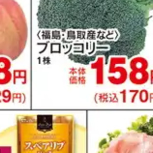 ブロッコリー