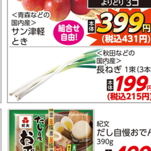 ながねぎ