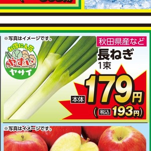 ながねぎ
