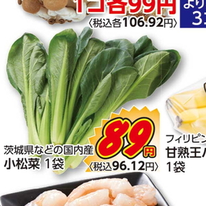 こまつ菜