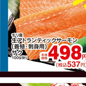 サーモン（さく取り）