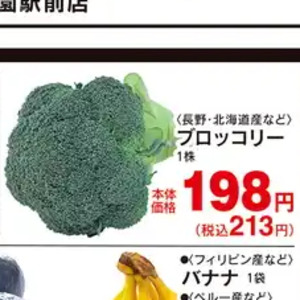 ブロッコリー