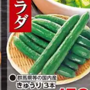きゅうり