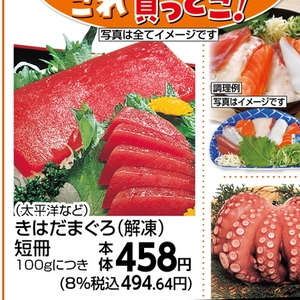 まぐろ（さく取り）