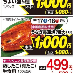 うなぎの蒲焼き