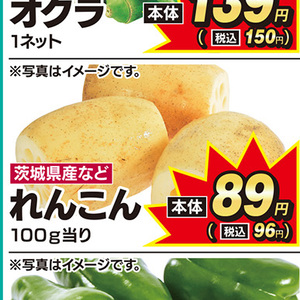 レンコン