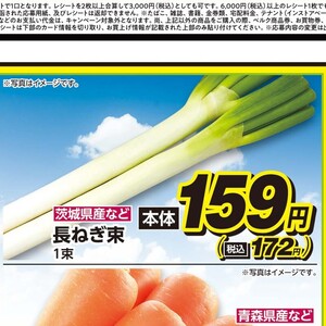 ながねぎ