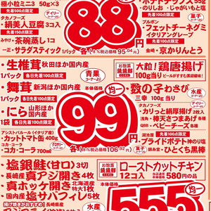 しいたけ