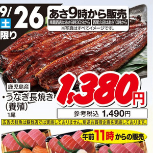 うなぎの蒲焼き