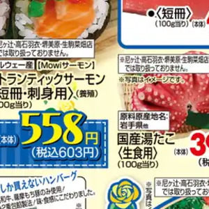 サーモン（さく取り）