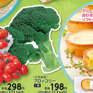 ブロッコリー