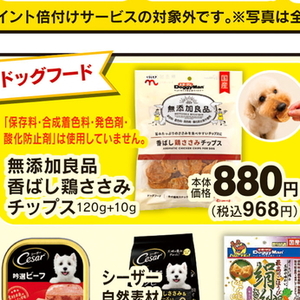 鶏ササミ