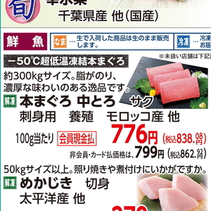 まぐろ中とろ