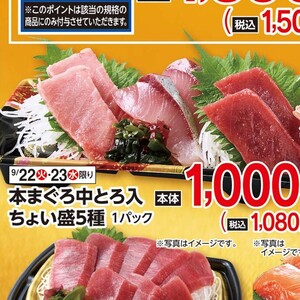まぐろ中とろ