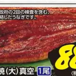 うなぎの蒲焼き