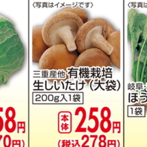 しいたけ