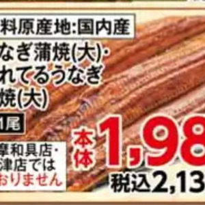 うなぎの蒲焼き