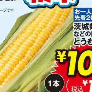 とうもろこし
