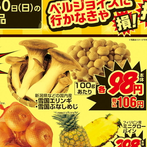 エリンギ