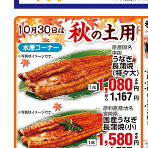 うなぎの蒲焼き