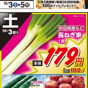 ながねぎ