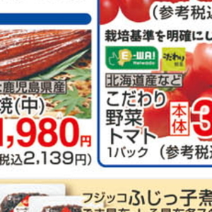 うなぎの蒲焼き