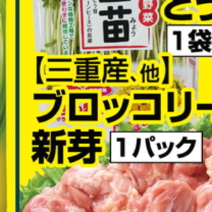ブロッコリースプラウト