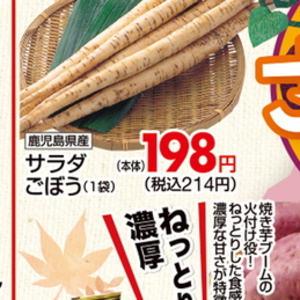 ごぼう