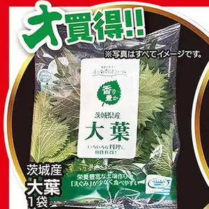おおば