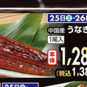 うなぎの蒲焼き