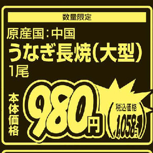 うなぎの蒲焼き