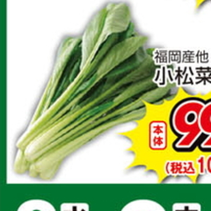 こまつ菜