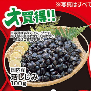 しじみ