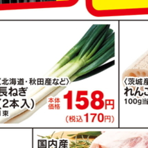ながねぎ