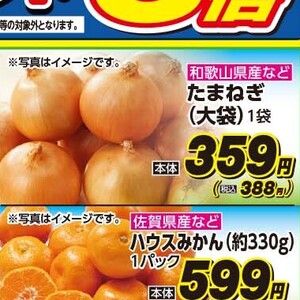 たまねぎ