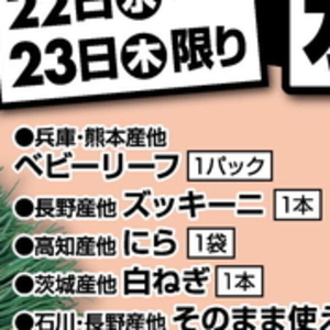 ズッキーニ