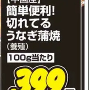 うなぎの蒲焼き