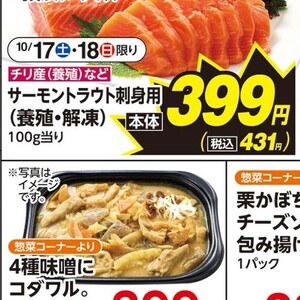 サーモン（さく取り）