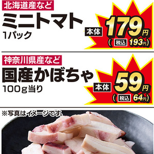 かぼちゃ