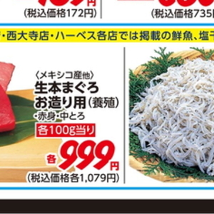 しらす