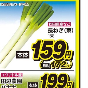ながねぎ