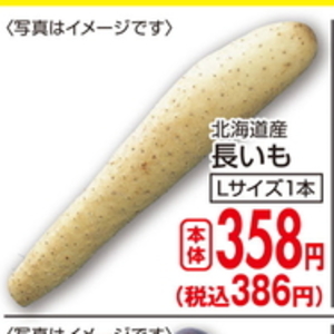 ながいも