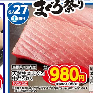 まぐろ中とろ