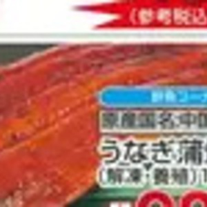 うなぎの蒲焼き