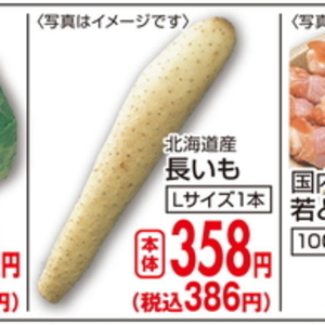 ながいも