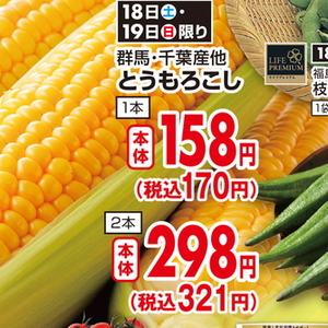 とうもろこし