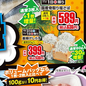 しらす