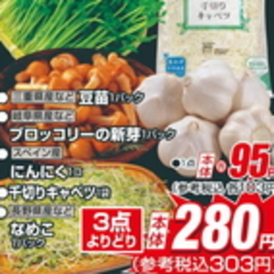 豆苗