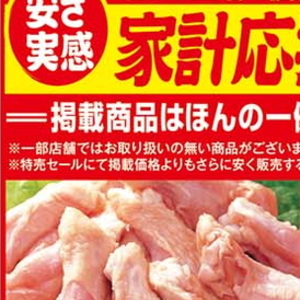 鶏手羽元