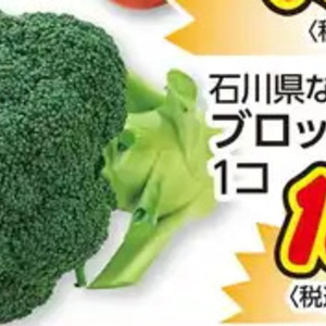 ブロッコリー